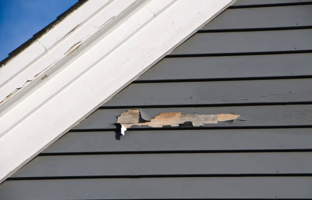 Best Fascia and Soffit Installation  in USA